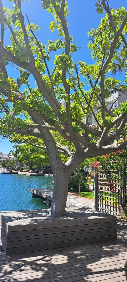 V&A Waterfront Marina Family Apartment 101 Altmore Kapstadt Exterior foto
